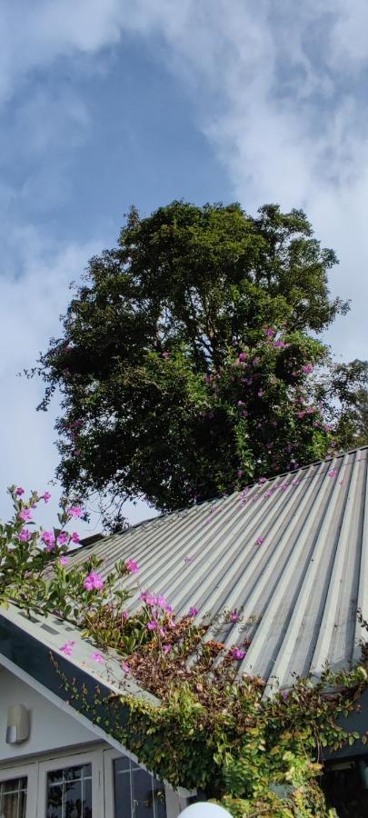 Munnar Tea Hills Resort - Mthr Zewnętrze zdjęcie