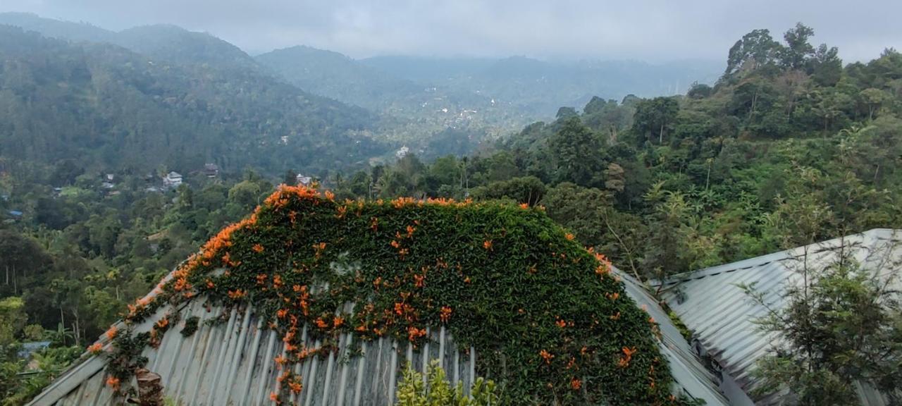 Munnar Tea Hills Resort - Mthr Zewnętrze zdjęcie