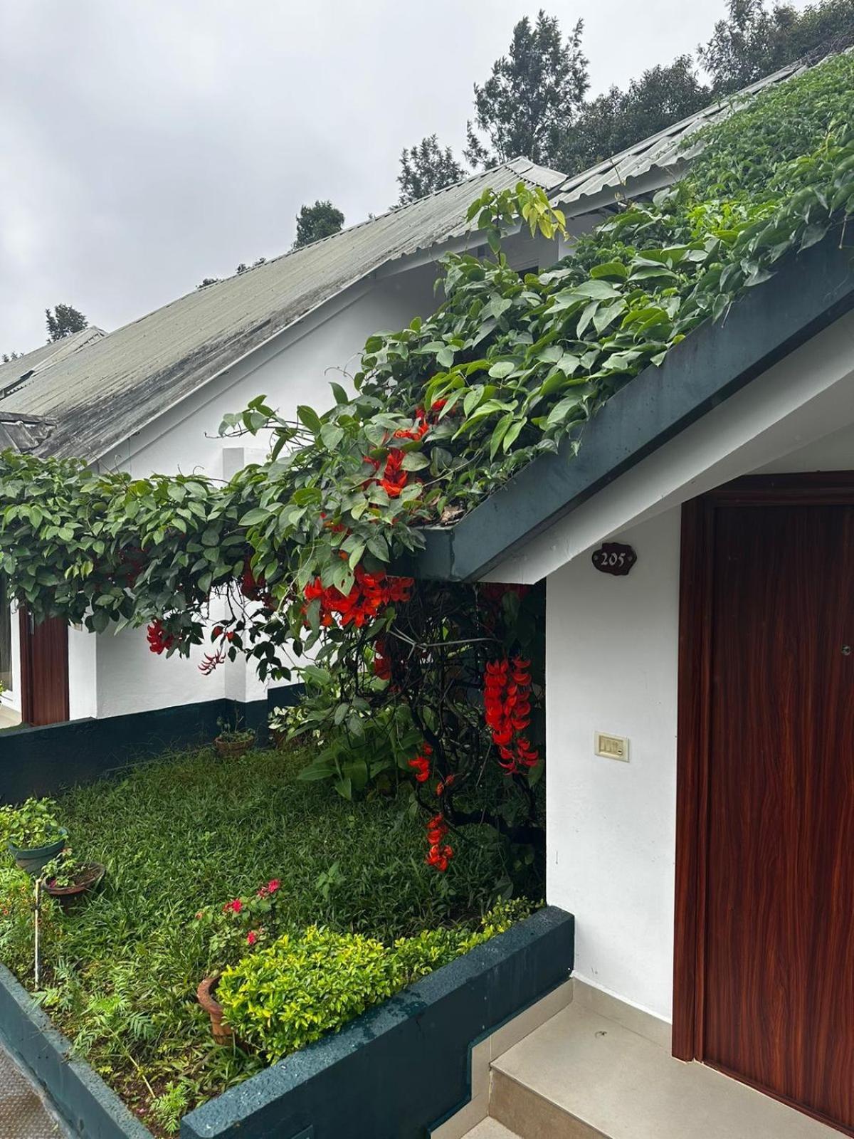 Munnar Tea Hills Resort - Mthr Zewnętrze zdjęcie