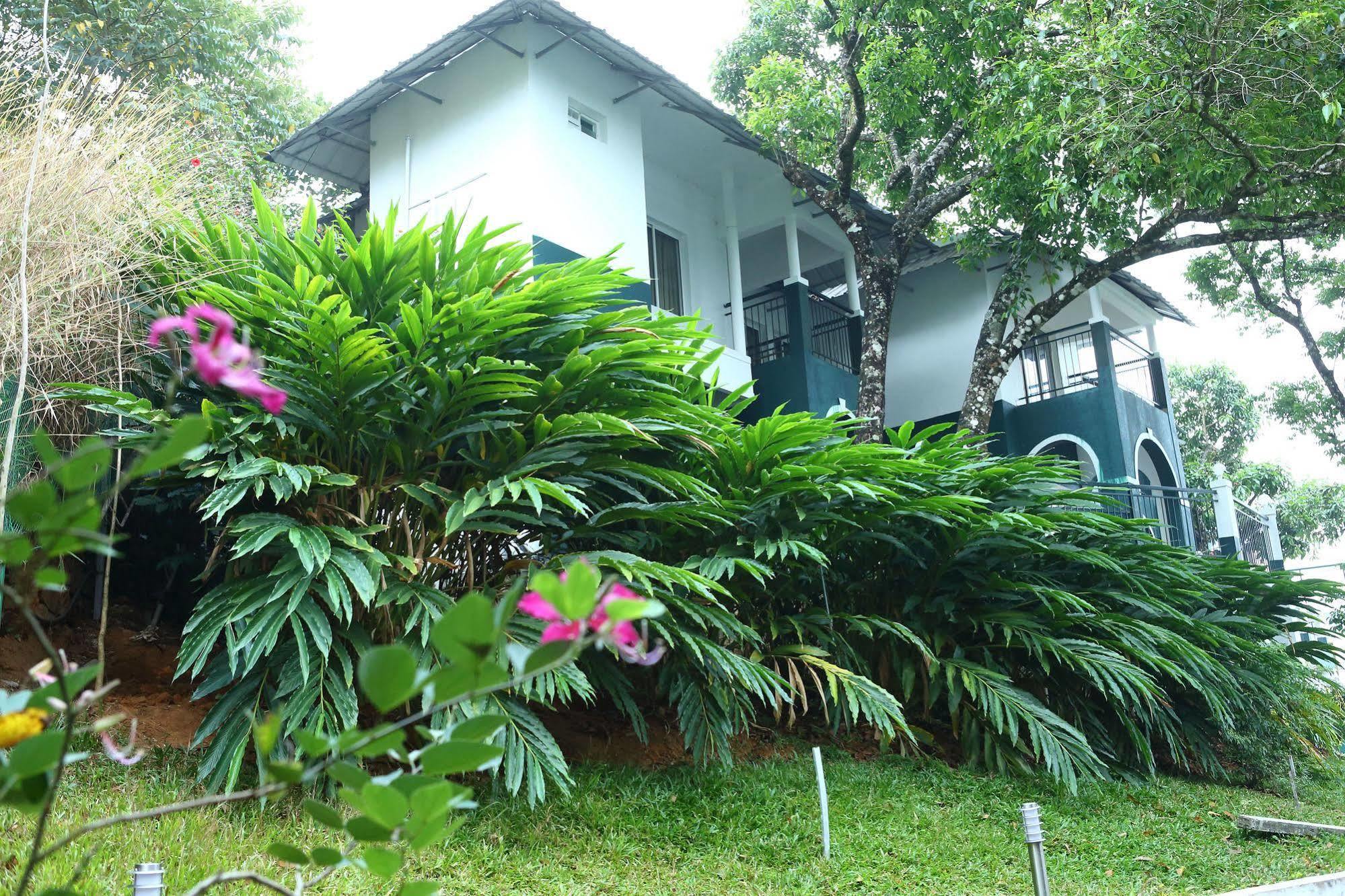 Munnar Tea Hills Resort - Mthr Zewnętrze zdjęcie